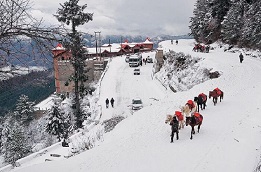 delhi-shimla